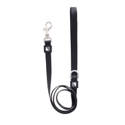 Solid Color Leash