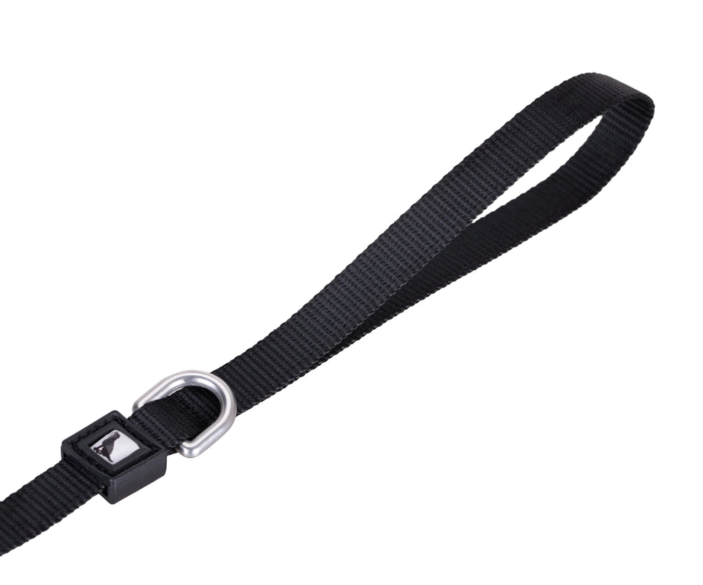 Solid Color Leash