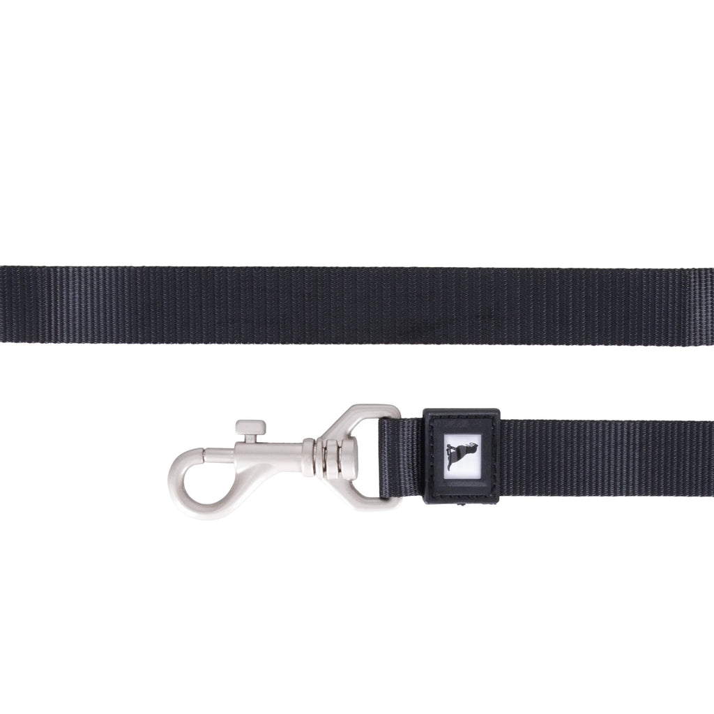 Solid Color Leash