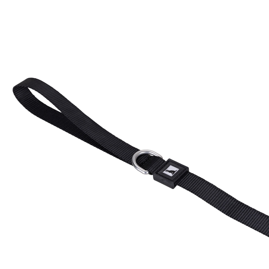 Solid Color Leash