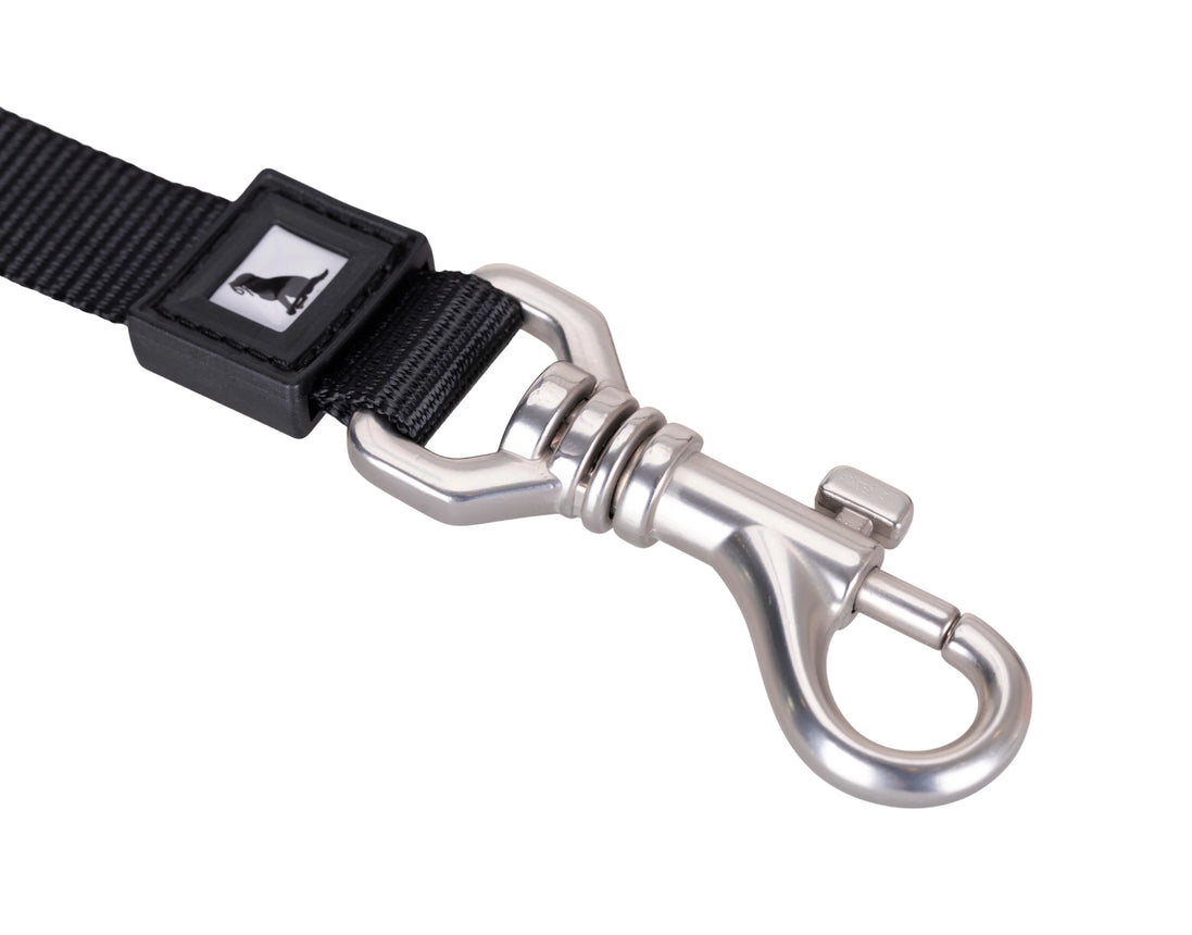 Solid Color Leash