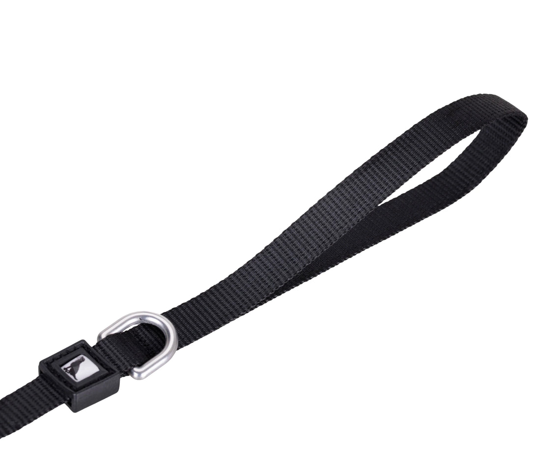 Solid Color Leash