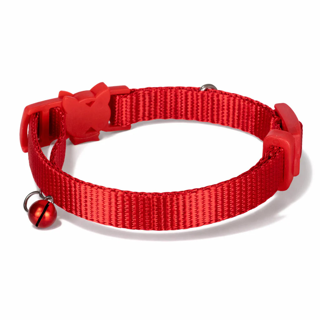 Einfarbiges Hunde- und Katzenhalsband