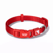 Einfarbiges Hunde- und Katzenhalsband