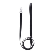 Solid Color Leash