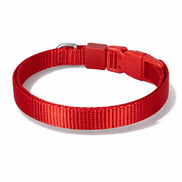 Einfarbiges Hunde- und Katzenhalsband