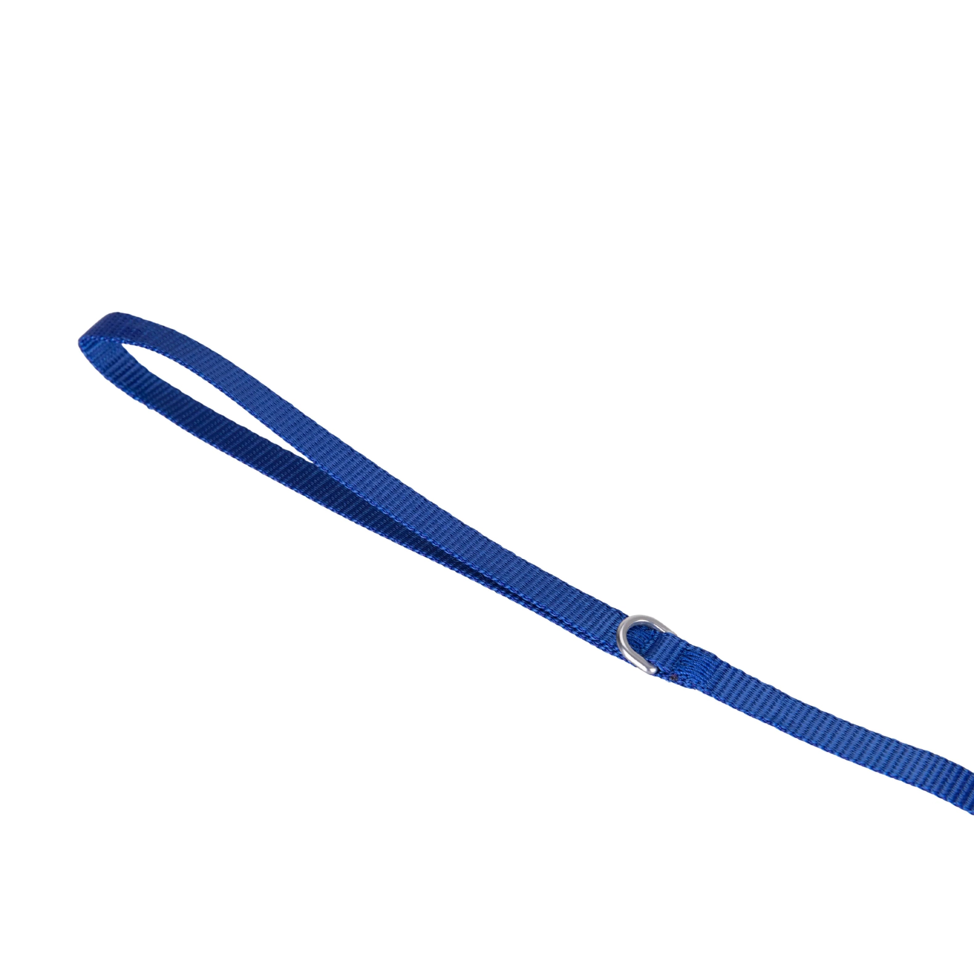 Solid Color Leash