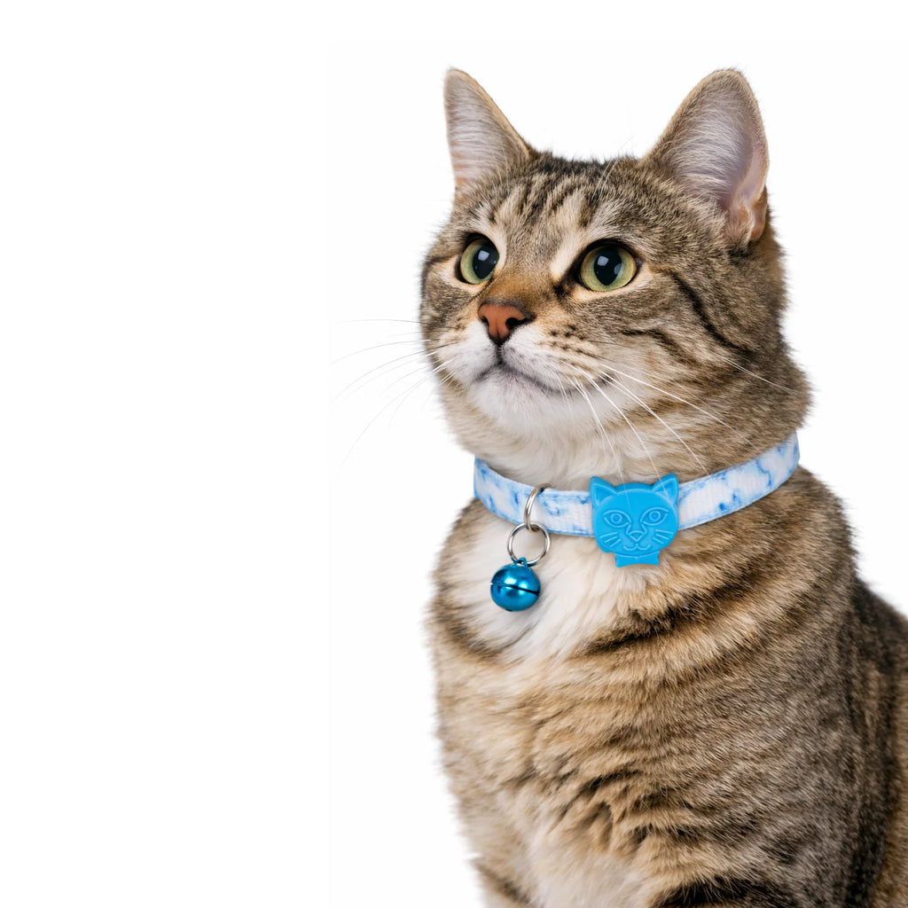 Patterned Recycled Dog & Cat Collar