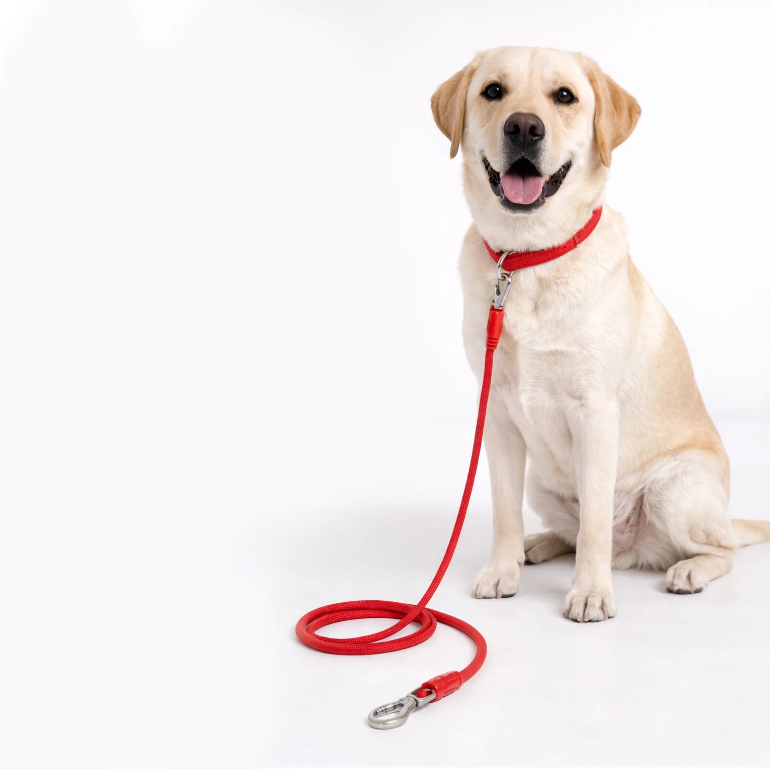 Polypropylene Rope Leash 8mm/150cm