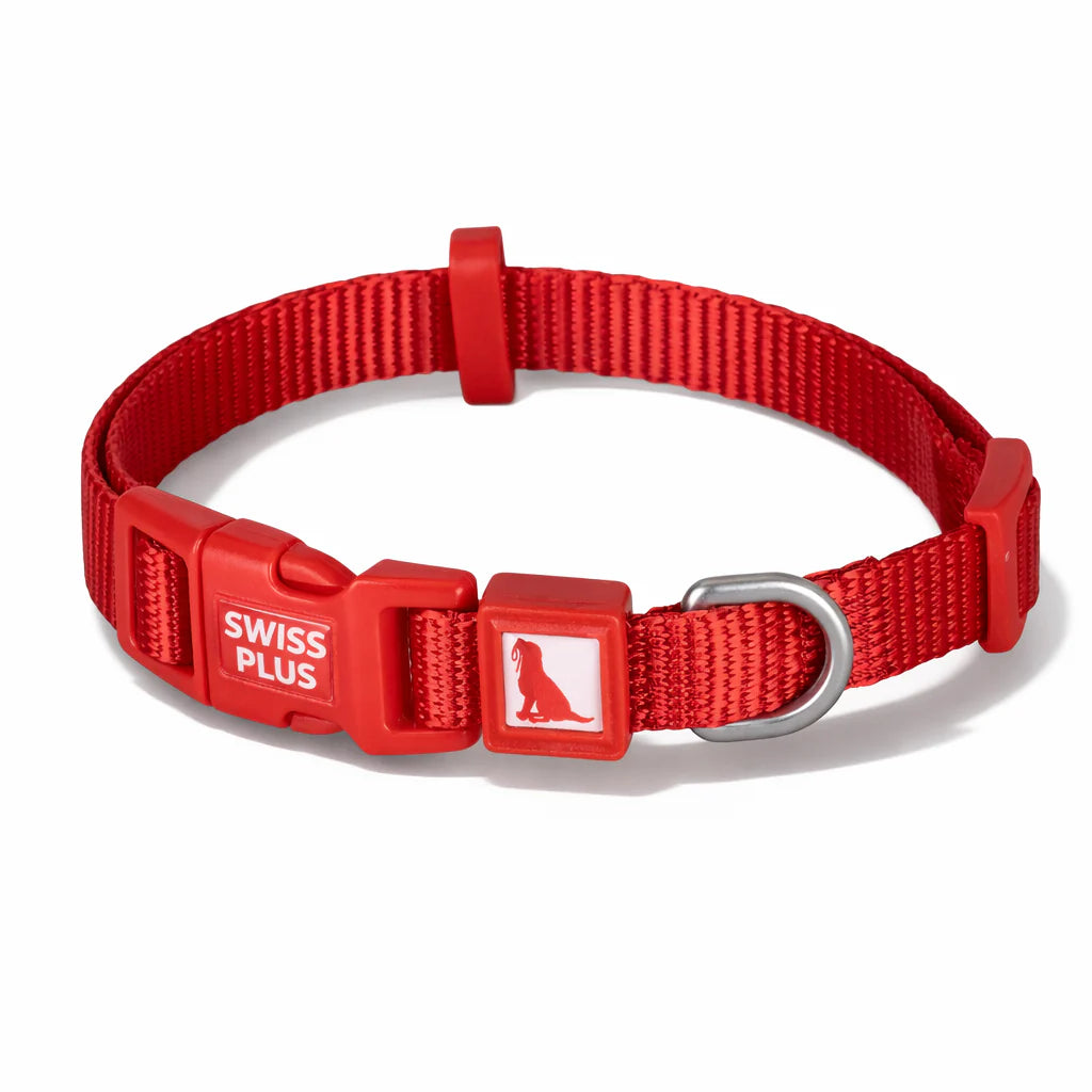 Einfarbiges Hunde- und Katzenhalsband