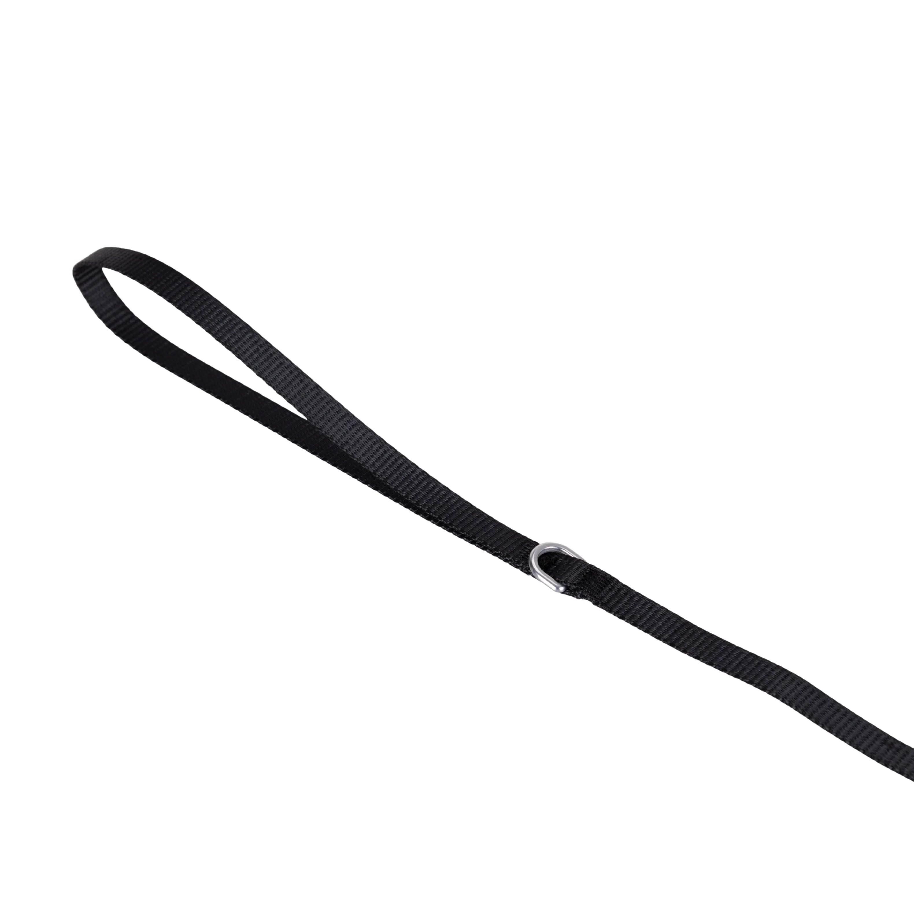Solid Color Leash