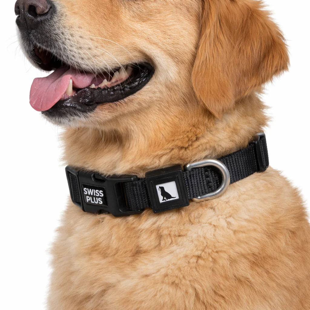 Einfarbiges Hunde- und Katzenhalsband