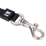 Solid Color Leash