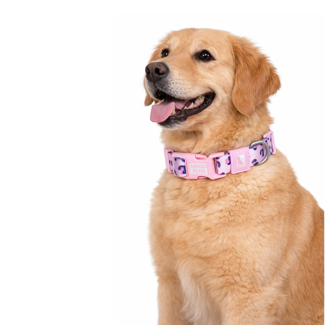 Gemustertes Halsband aus recycelten Materialien für Hunde und Katzen