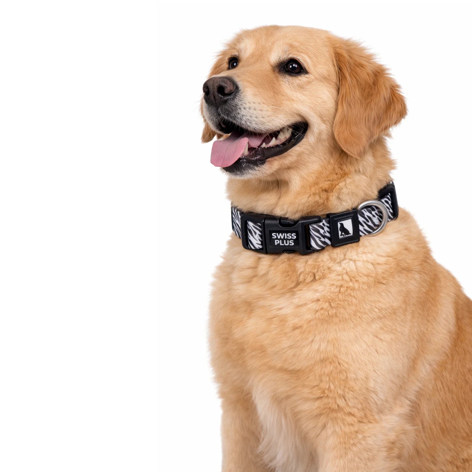 Patterned Recycled Dog & Cat Collar