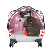 Eis-Haustier-Trolley-Koffer