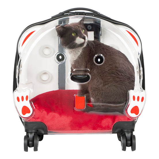 Ice Pet Trolley Suitcase
