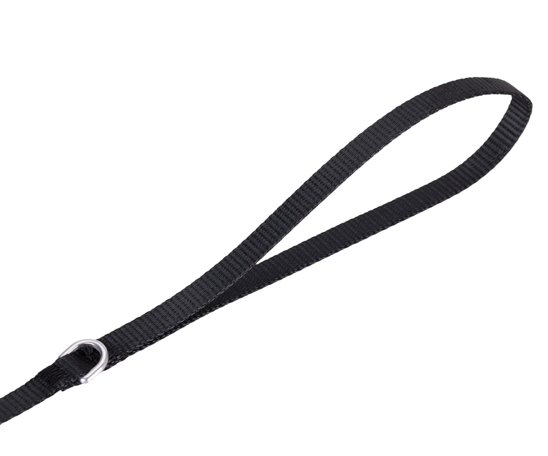 Solid Color Leash