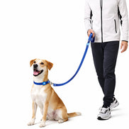 Solid Color Leash