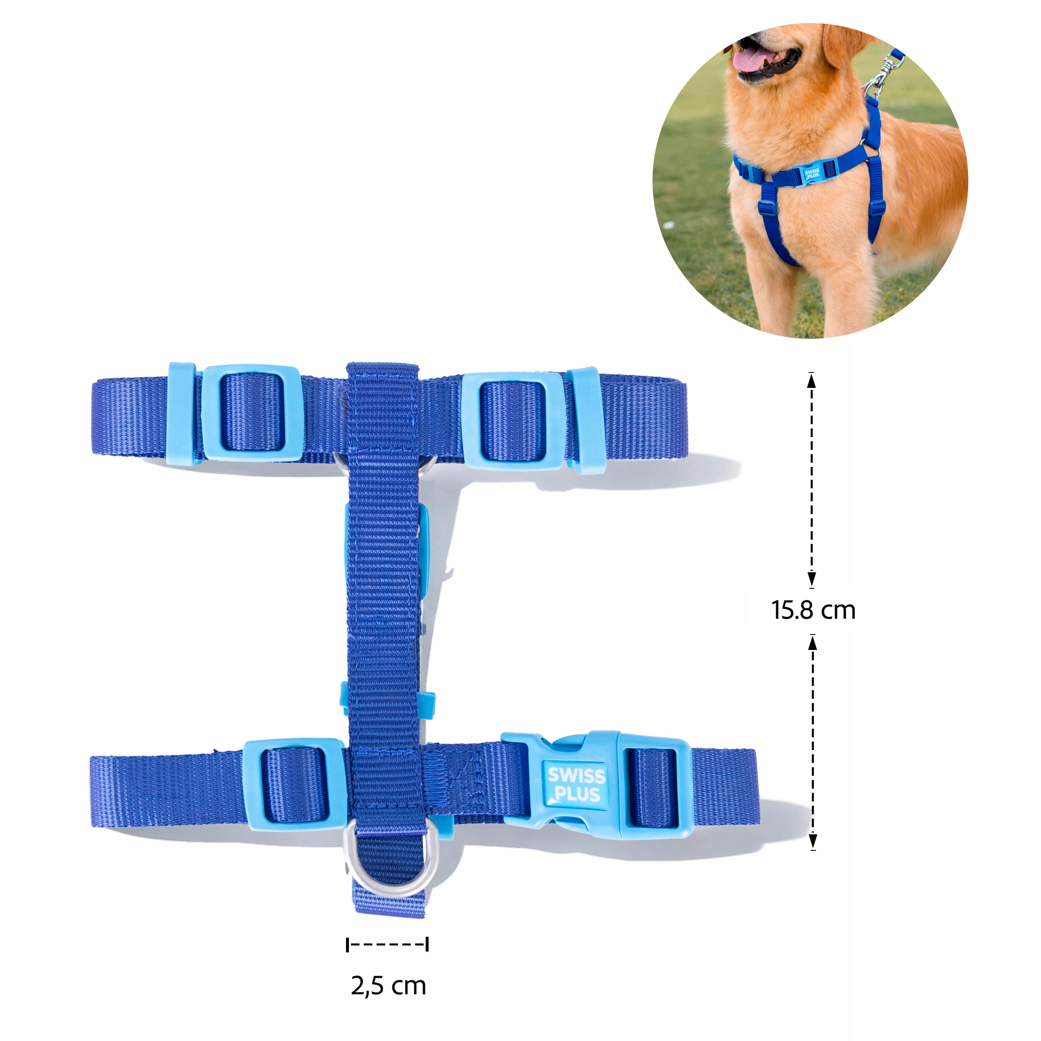 Solid Color H Type Harness