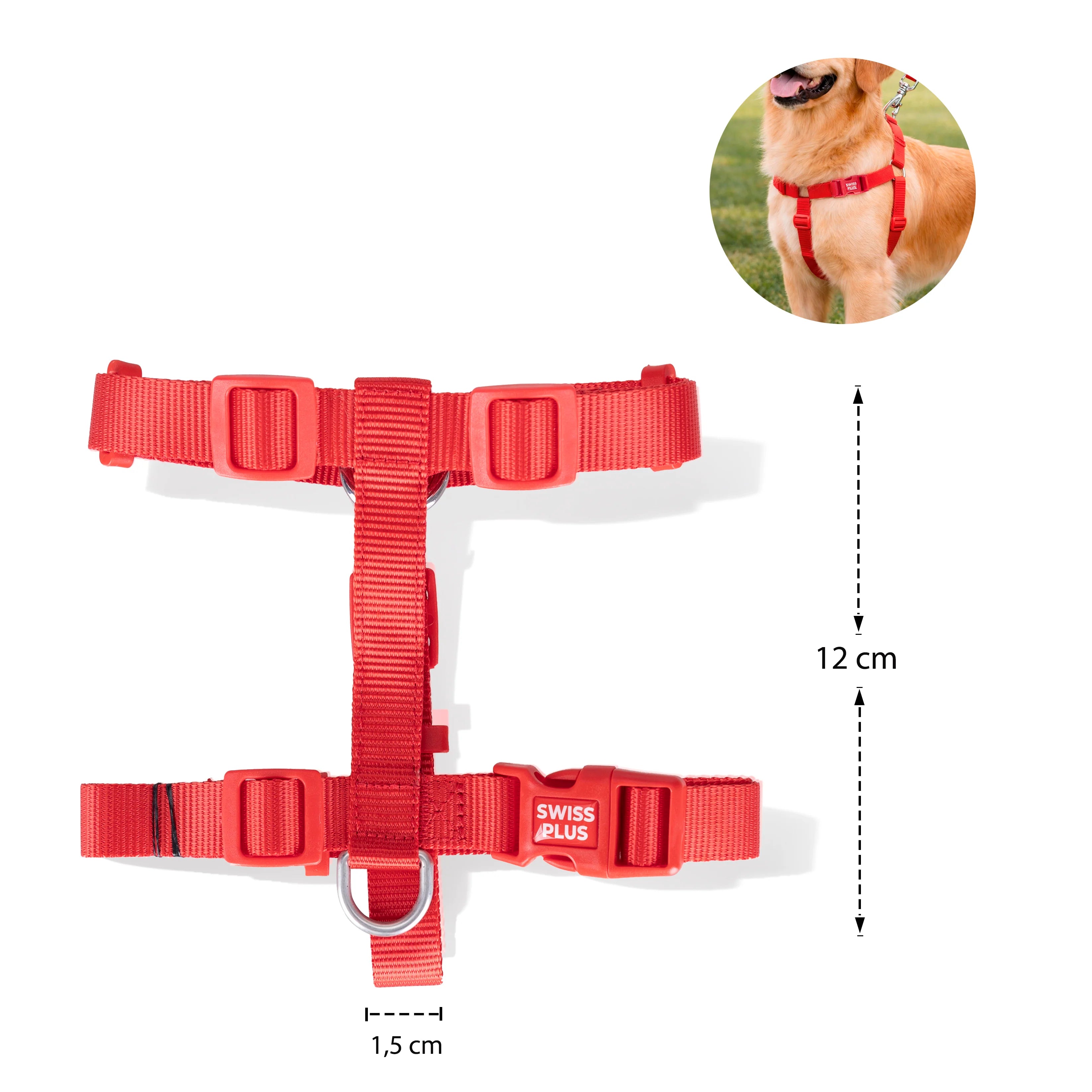 Solid Color H Type Harness