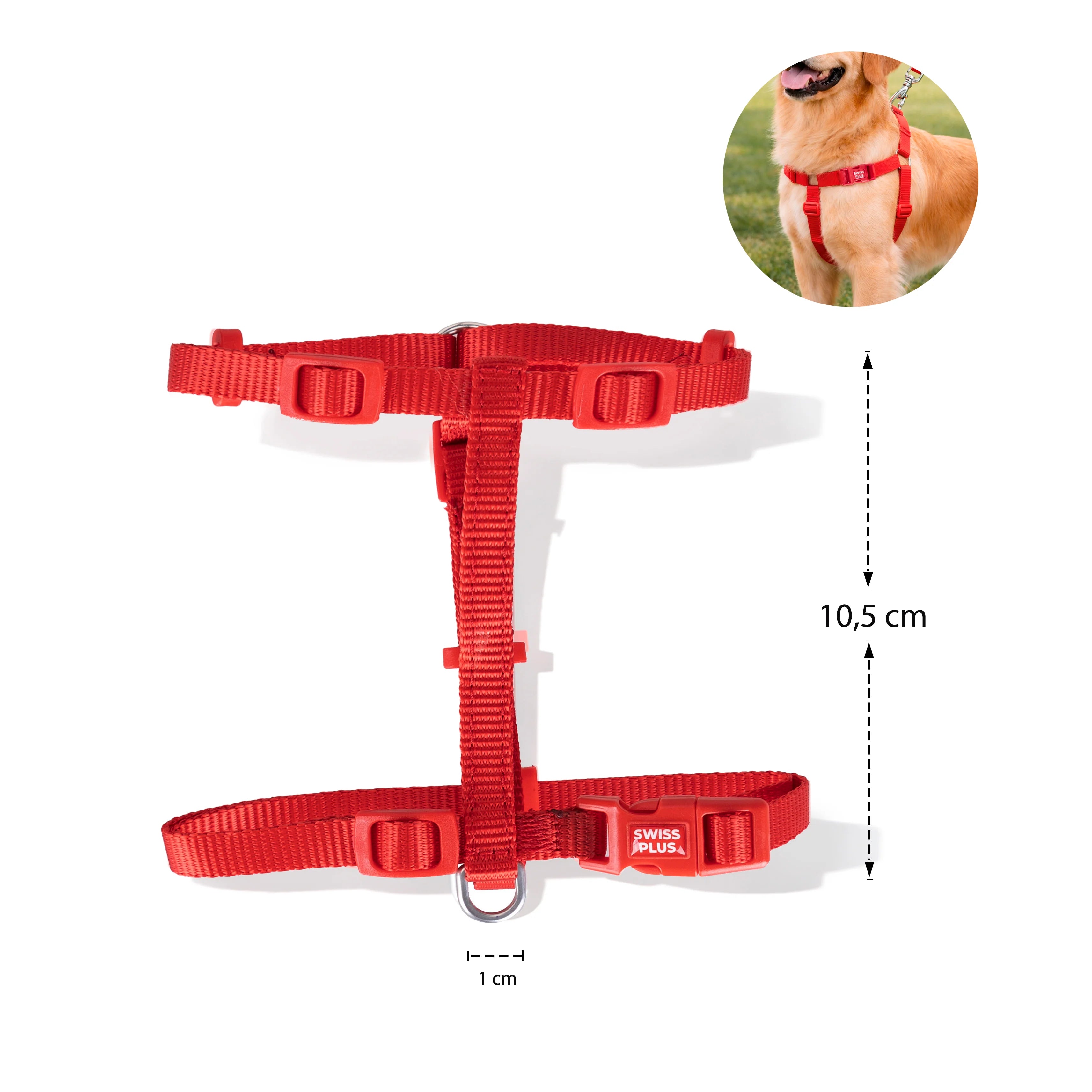 Solid Color H Type Harness