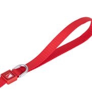 Solid Color Leash