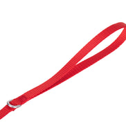 Solid Color Leash