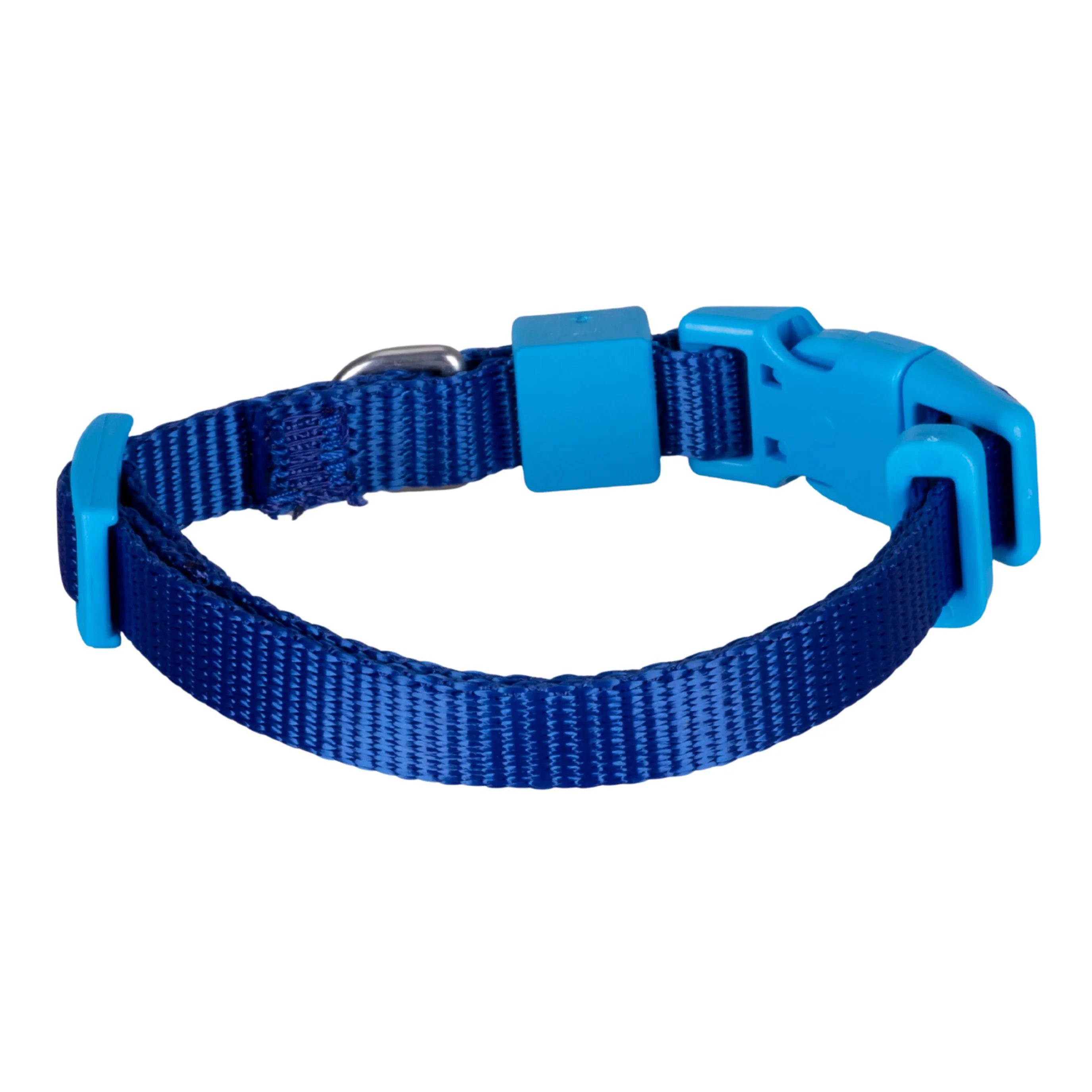 Einfarbiges Hunde- und Katzenhalsband