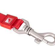 Solid Color Leash