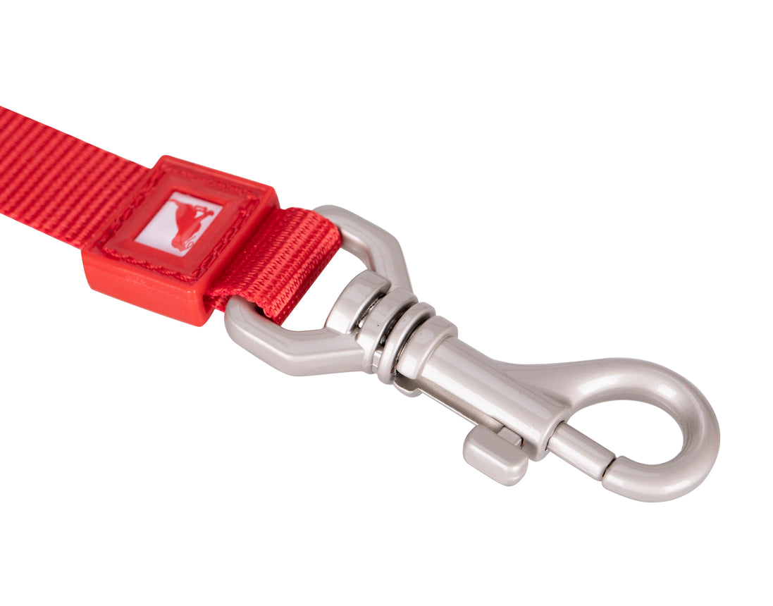Solid Color Leash