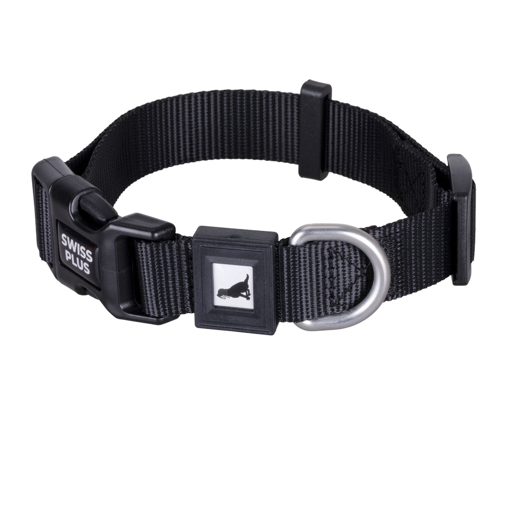 Solid Color Dog & Cat Collar