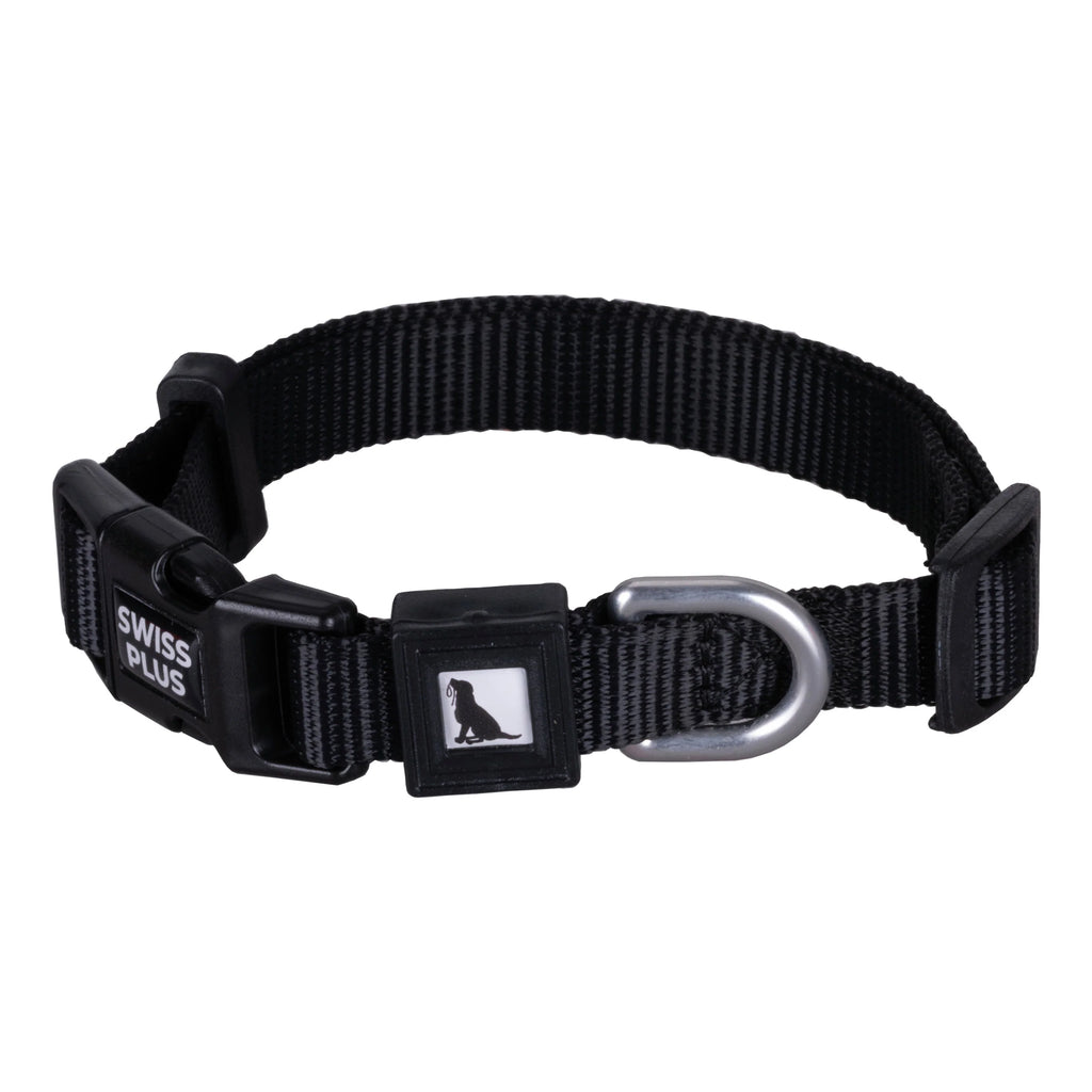 Solid Color Dog & Cat Collar