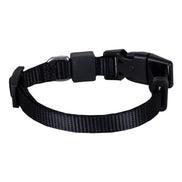 Einfarbiges Hunde- und Katzenhalsband