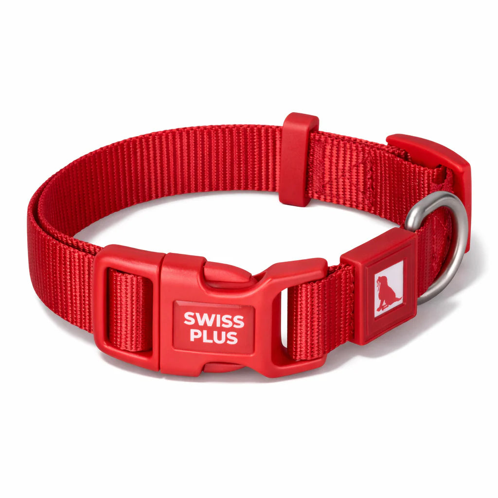 Einfarbiges Hunde- und Katzenhalsband