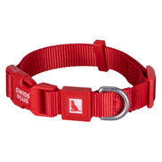 Einfarbiges Hunde- und Katzenhalsband