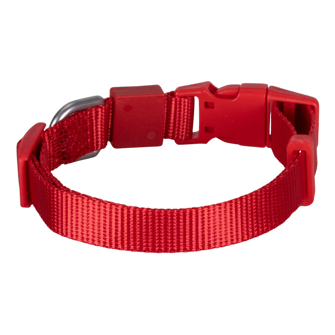 Einfarbiges Hunde- und Katzenhalsband