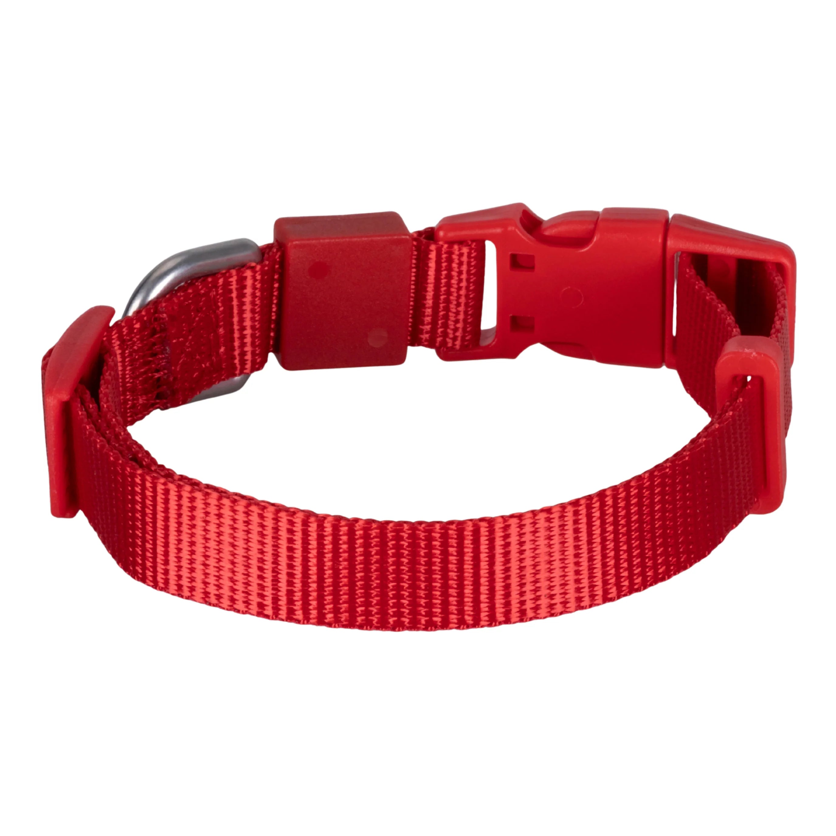 Einfarbiges Hunde- und Katzenhalsband