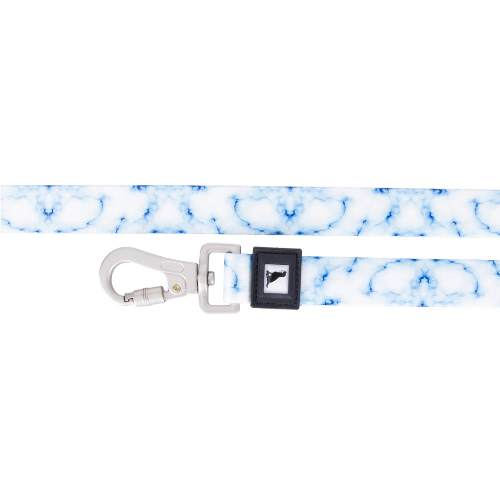 Patterned Recycled Hands Free Leash