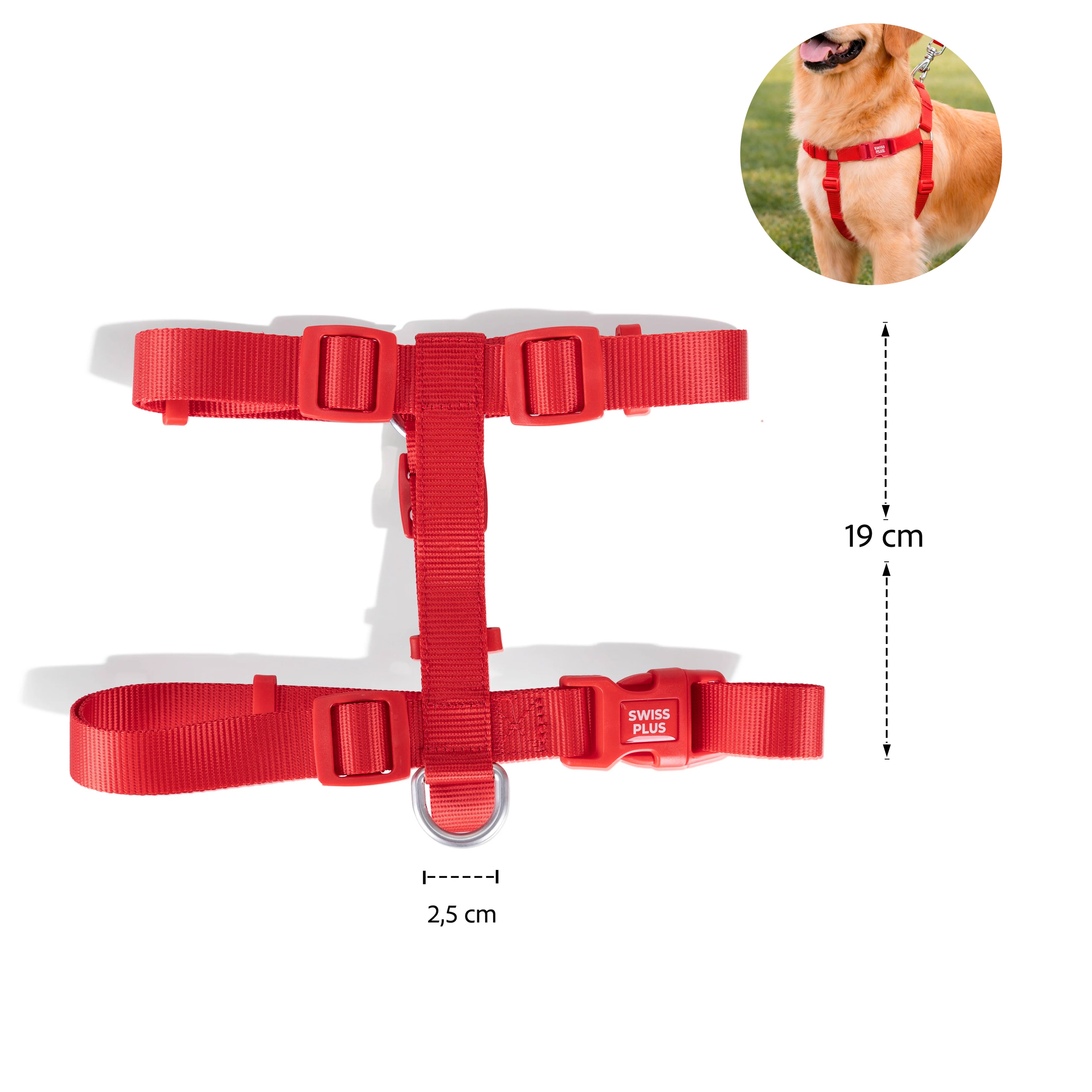Solid Color H Type Harness