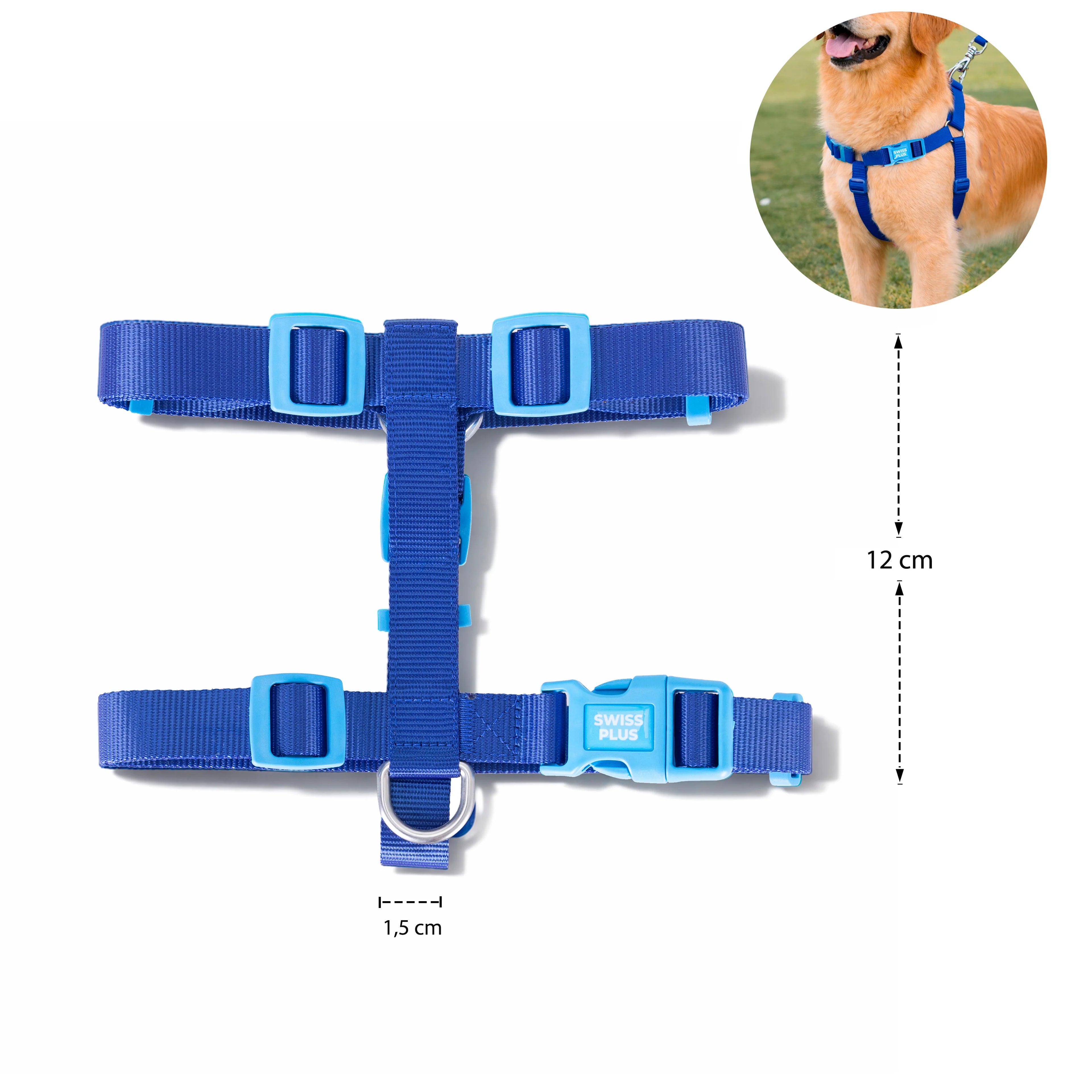 Solid Color H Type Harness
