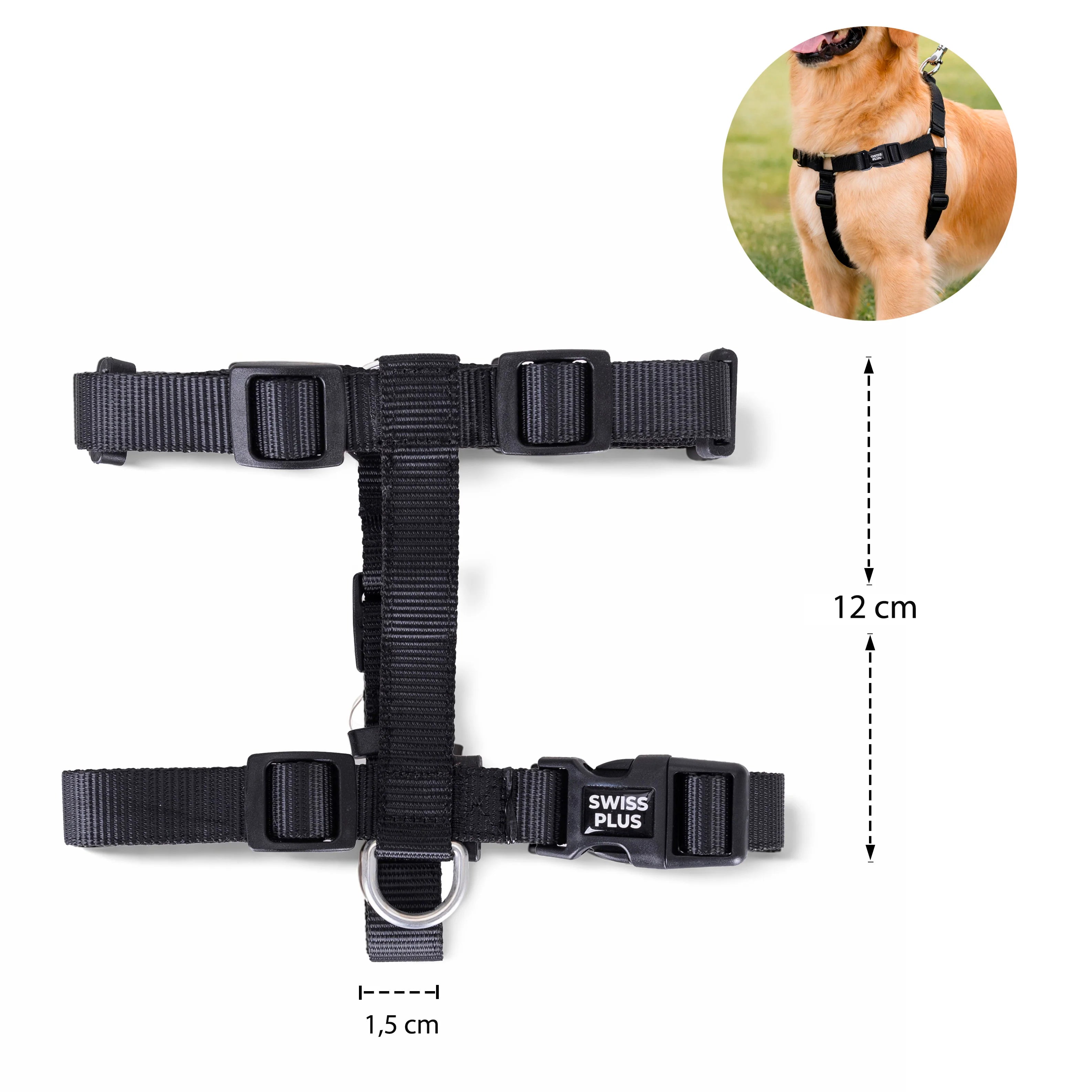 Solid Color H Type Harness