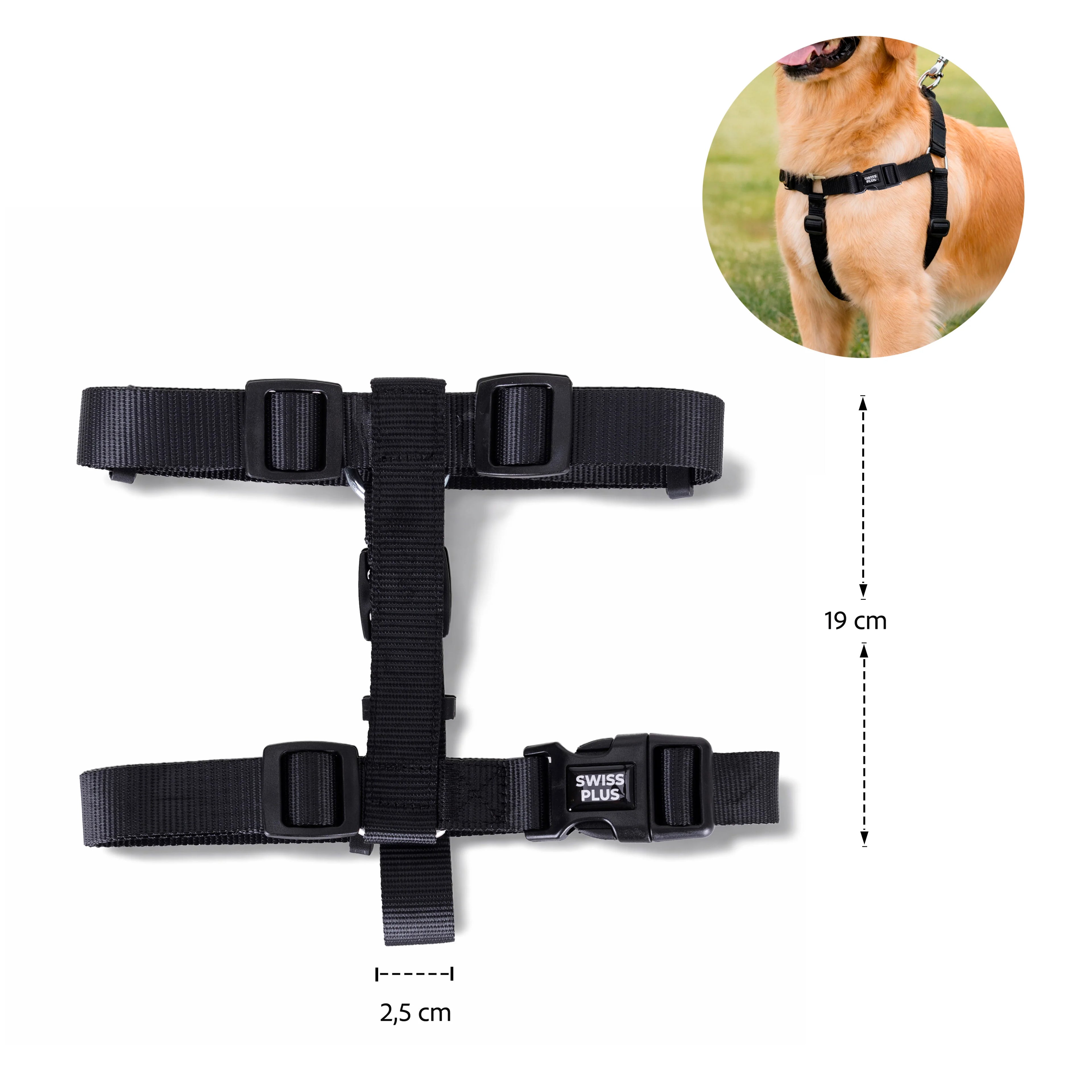 Solid Color H Type Harness