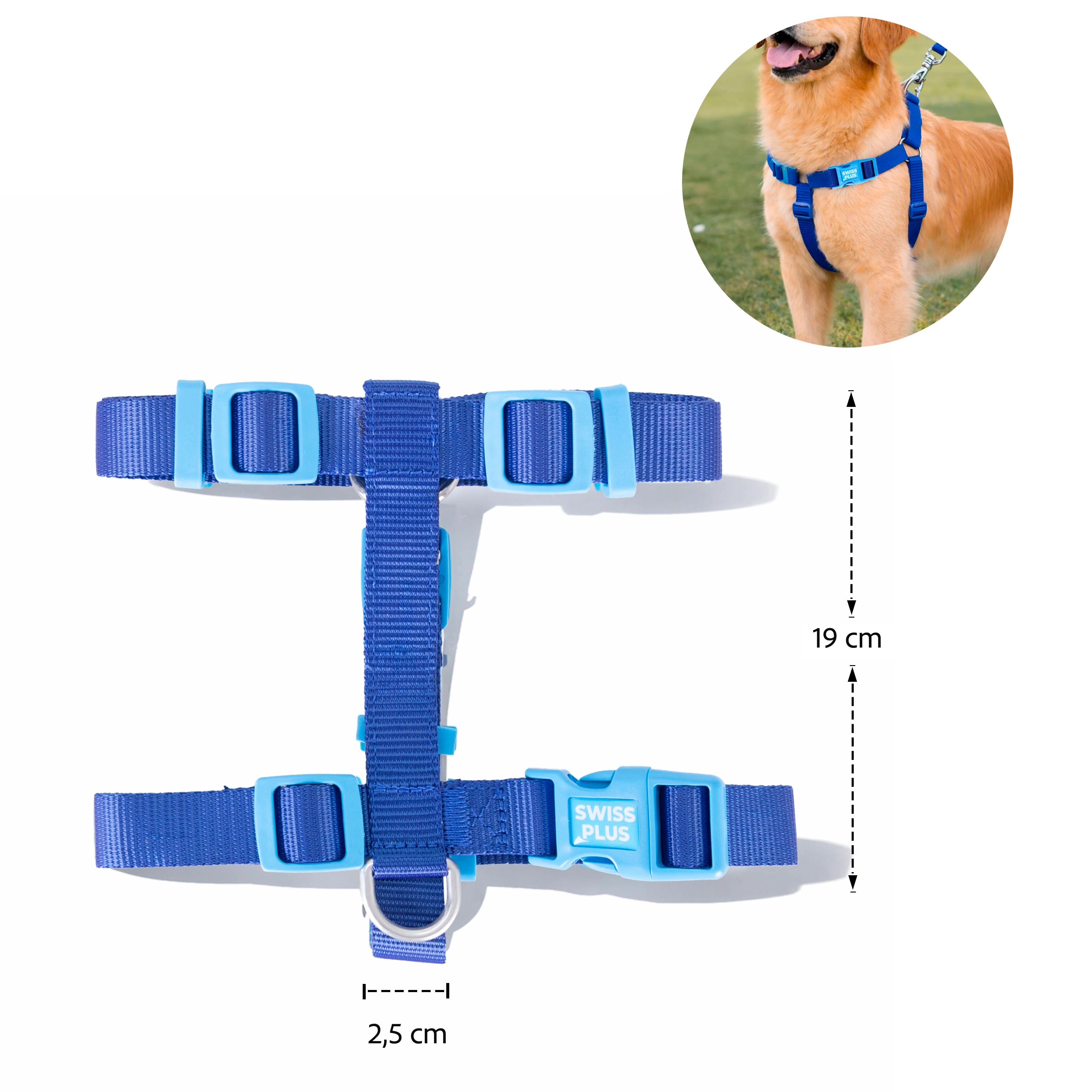 Solid Color H Type Harness