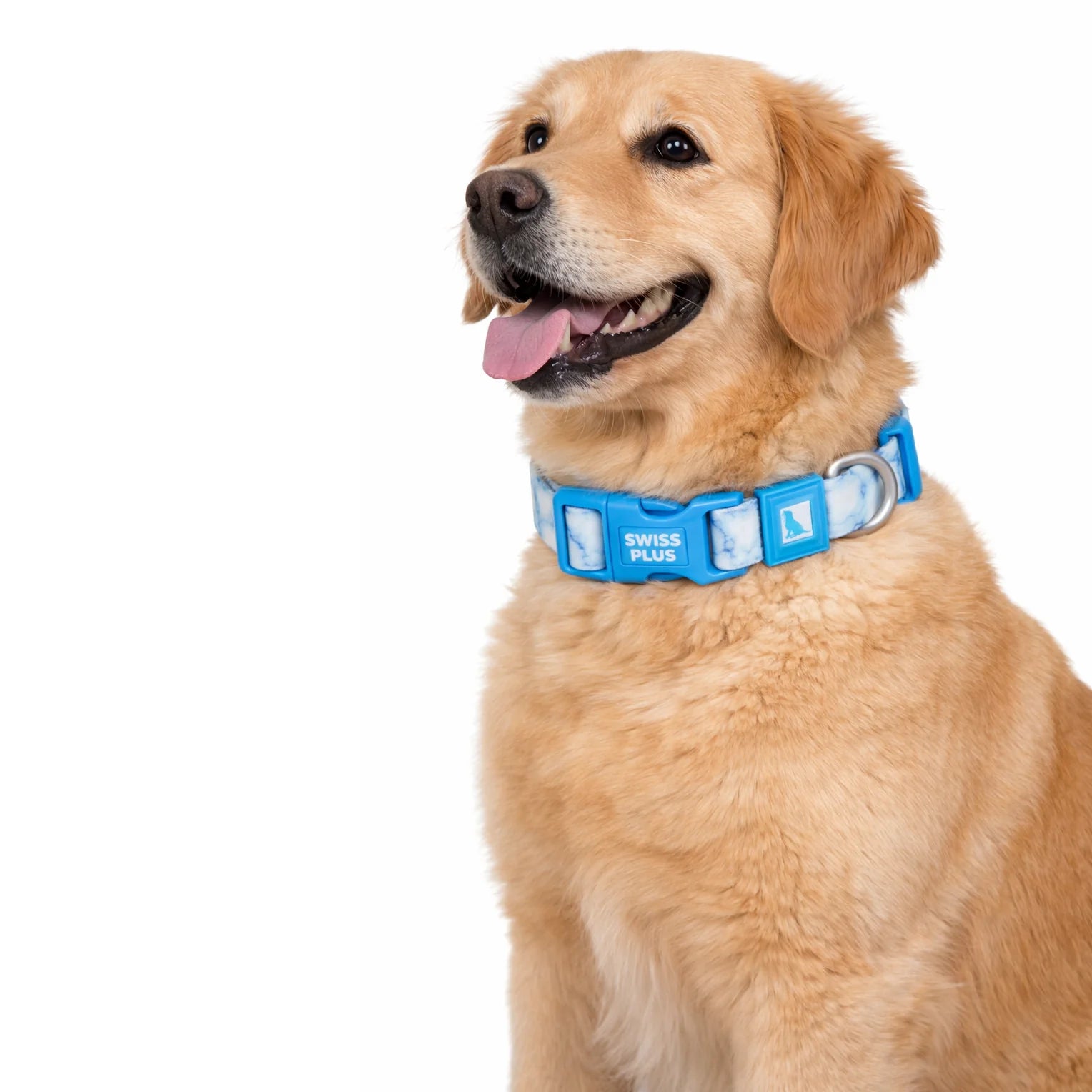 Patterned Recycled Dog & Cat Collar