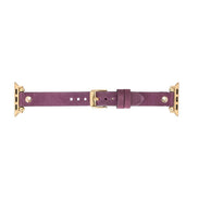 Fitbit-Armbänder aus Leder – Ferro Gold Trok-Stil