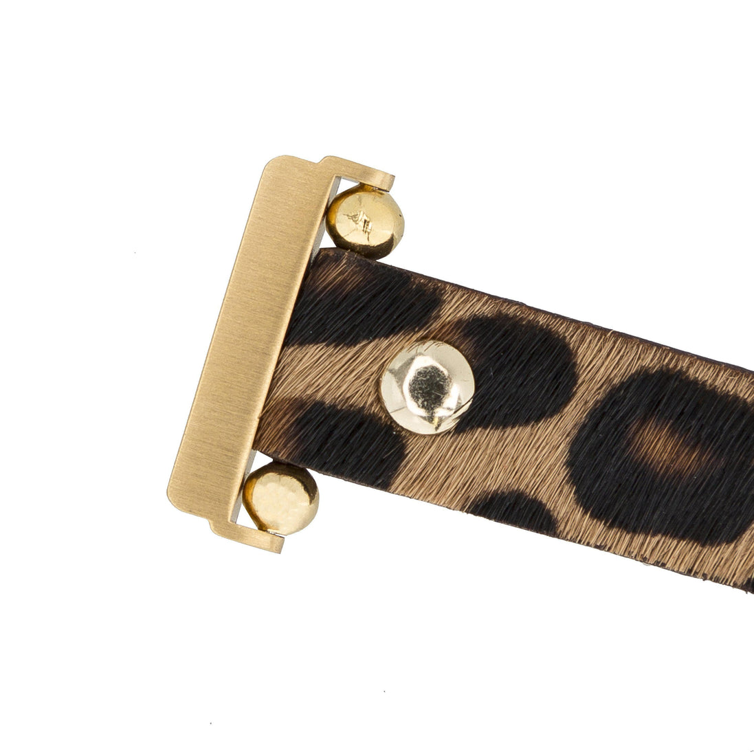 Fitbit-Armbänder aus Leder – Ferro Gold Trok-Stil