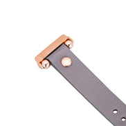 Fitbit-Armbänder aus Leder – Ferro Gold Trok-Stil