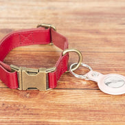 Scobby Leder-Hundehalsband