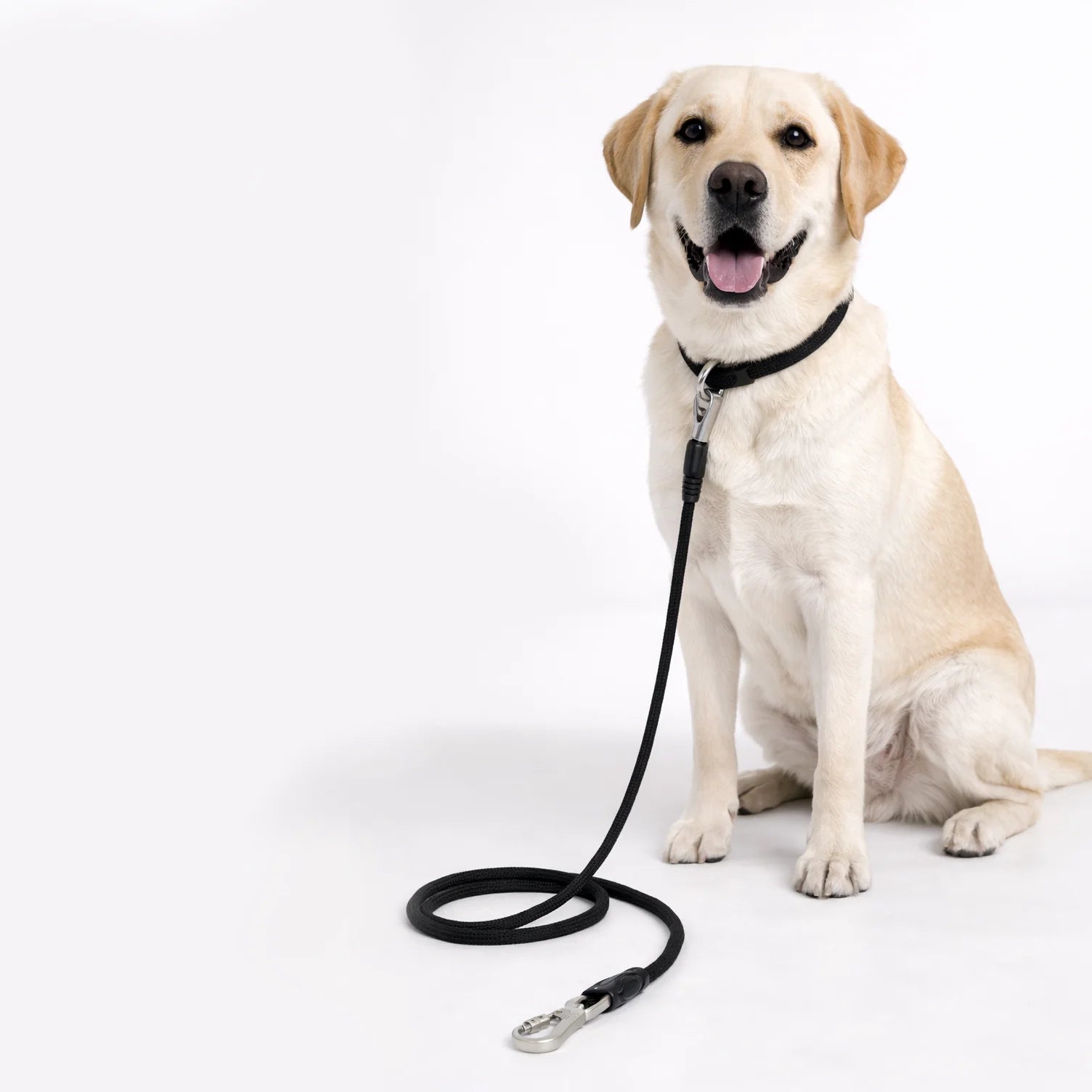 Polypropylene Rope Leash 11mm/180cm